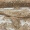 1 Yard Gold Sequin Lace Fabric Embroidered Mesh with Sparkling Finish for Gowns & Decor